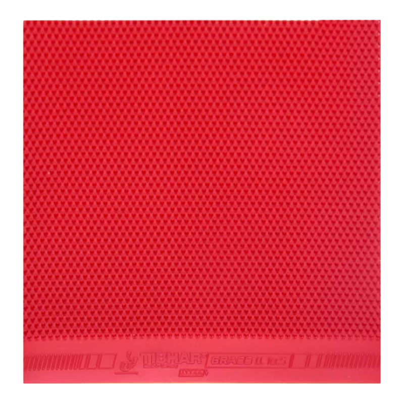 TIBHAR Grass D.TecS Table Tenn – Table Tennis Germany Bewertung und Preis