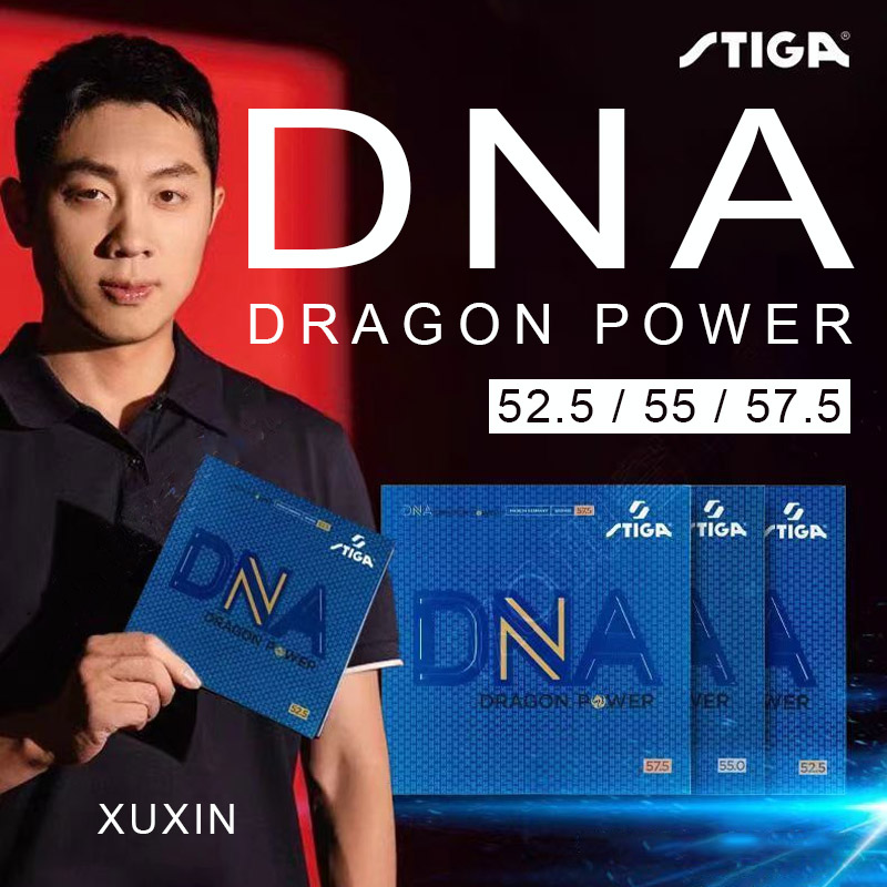 STIGA DNA DRAGON POWER Table T – Table Tennis Germany Bewertung und Preis