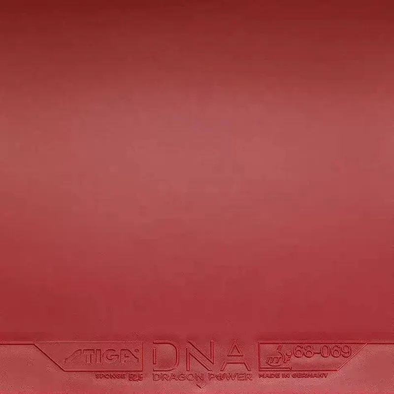 STIGA DNA DRAGON POWER Table T – Table Tennis Germany Bewertung und Preis