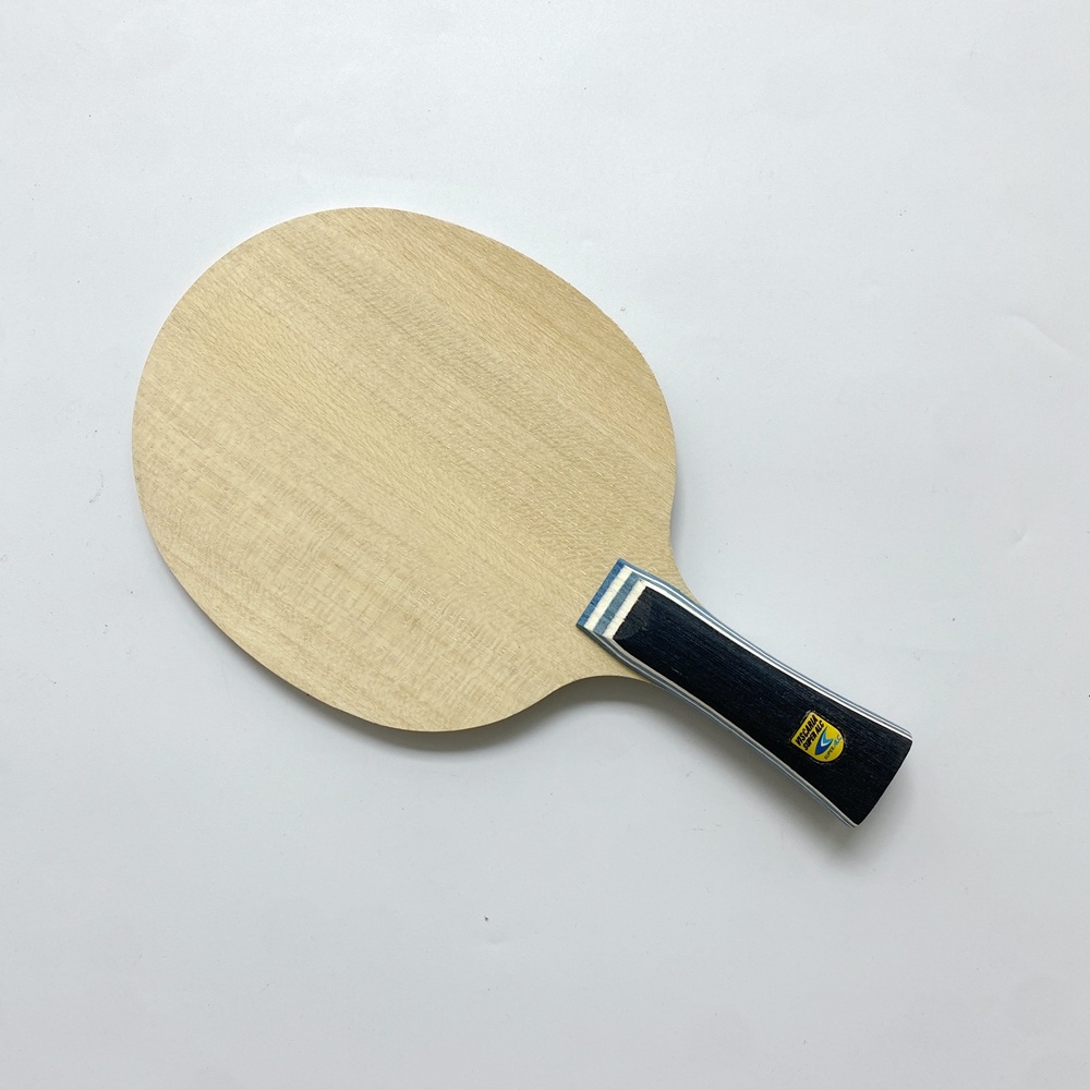 Lemuria VIS Carbon Fiber Table – Table Tennis Yasaka Bewertung und Preis