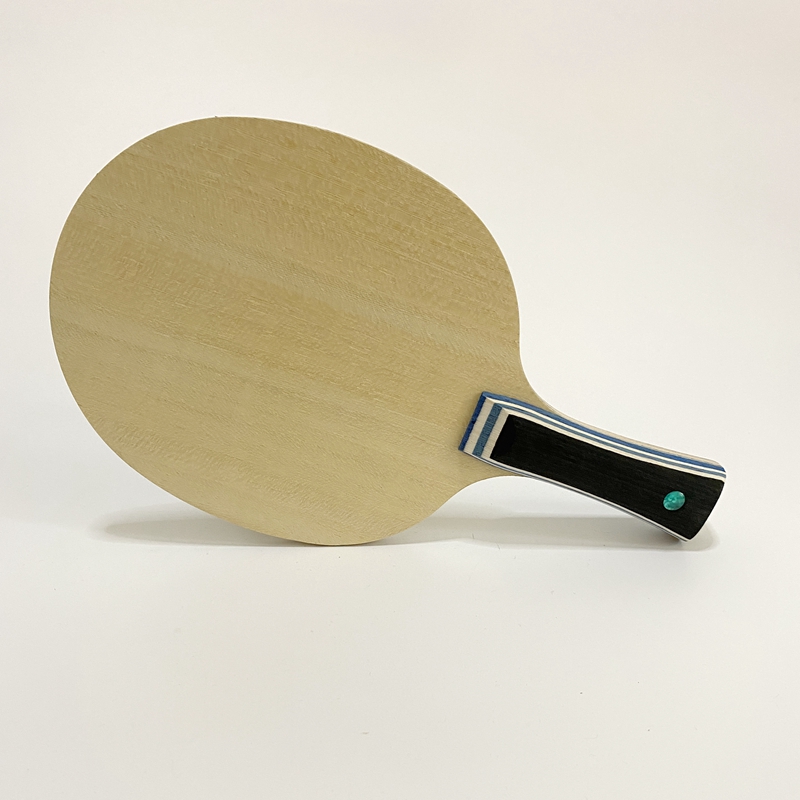 Lemuria VIS Carbon Fiber Table – Table Tennis Yasaka Bewertung und Preis