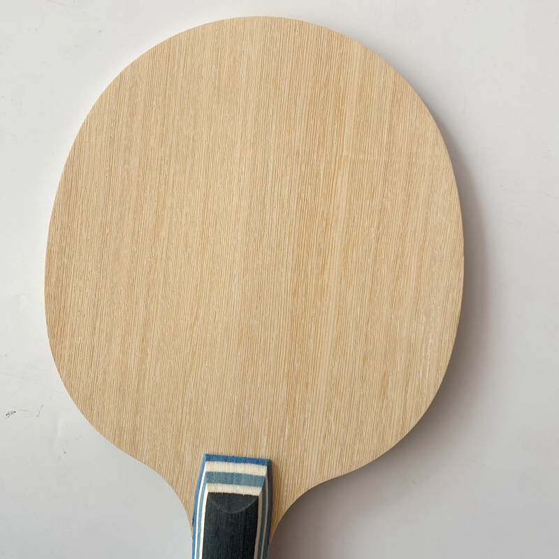 Lemuria VIS Carbon Fiber Table – Table Tennis Yasaka Bewertung und Preis