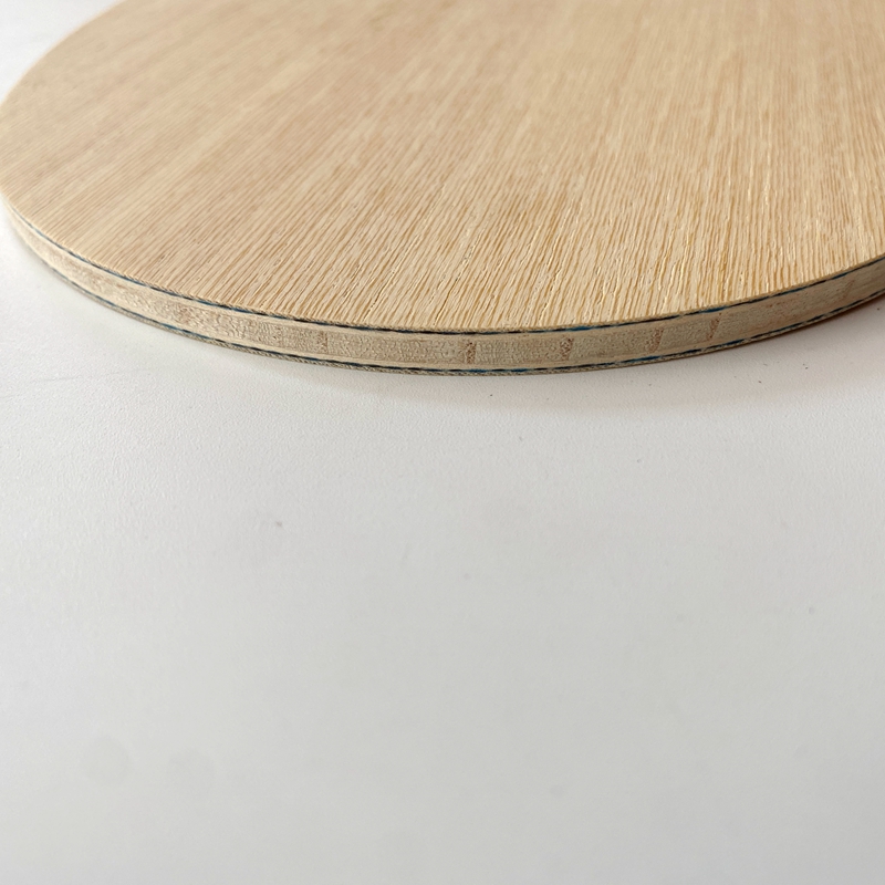 Lemuria VIS Carbon Fiber Table – Table Tennis Yasaka Bewertung und Preis