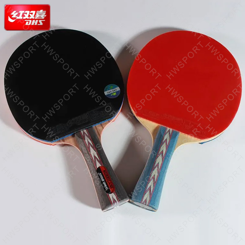 DHS Hurricane NO Series Table  – Table Tennis No 1 Bewertung und Preis