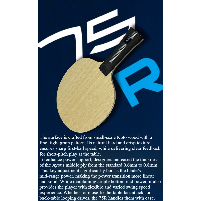 SANWEI 75R 5+2 Outer H-GLC Tab – Table Tennis Paddles Bewertung und Preis
