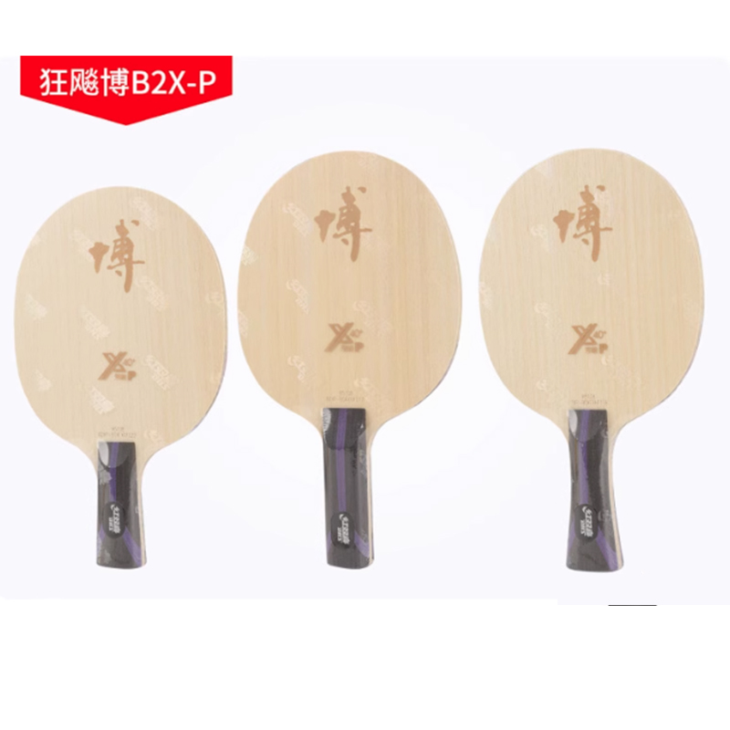 DHS B2X-P table tennis blade p – Table Tennis Touch Bewertung und Preis